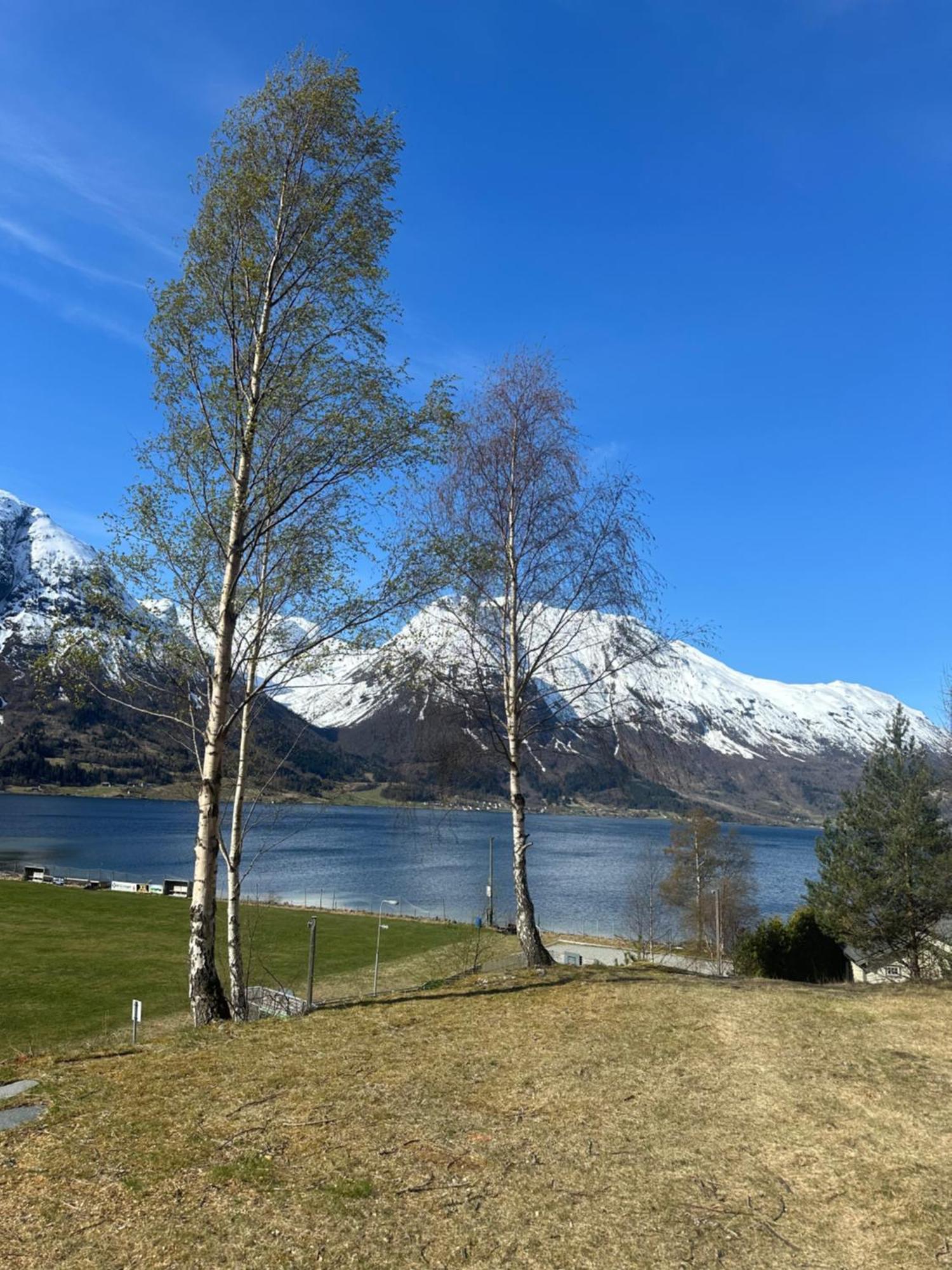 Vollsnes Feriehus Villa Hjelle Bagian luar foto